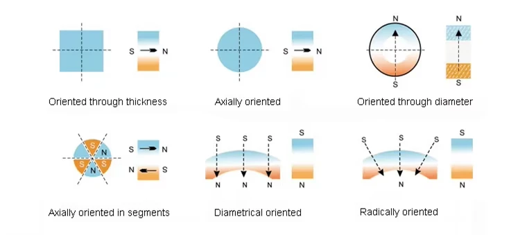 magnetization magnetization